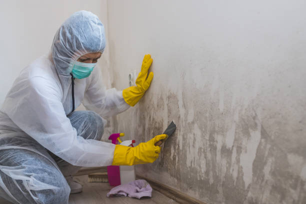 Best Forensic Mold Investigation  in Clarkdale, AZ